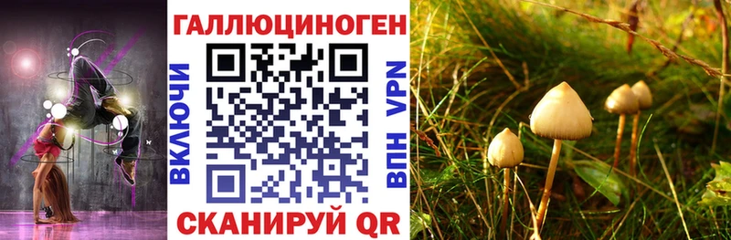 Галлюциногенные грибы мухоморы  купить закладку  Калуга 
