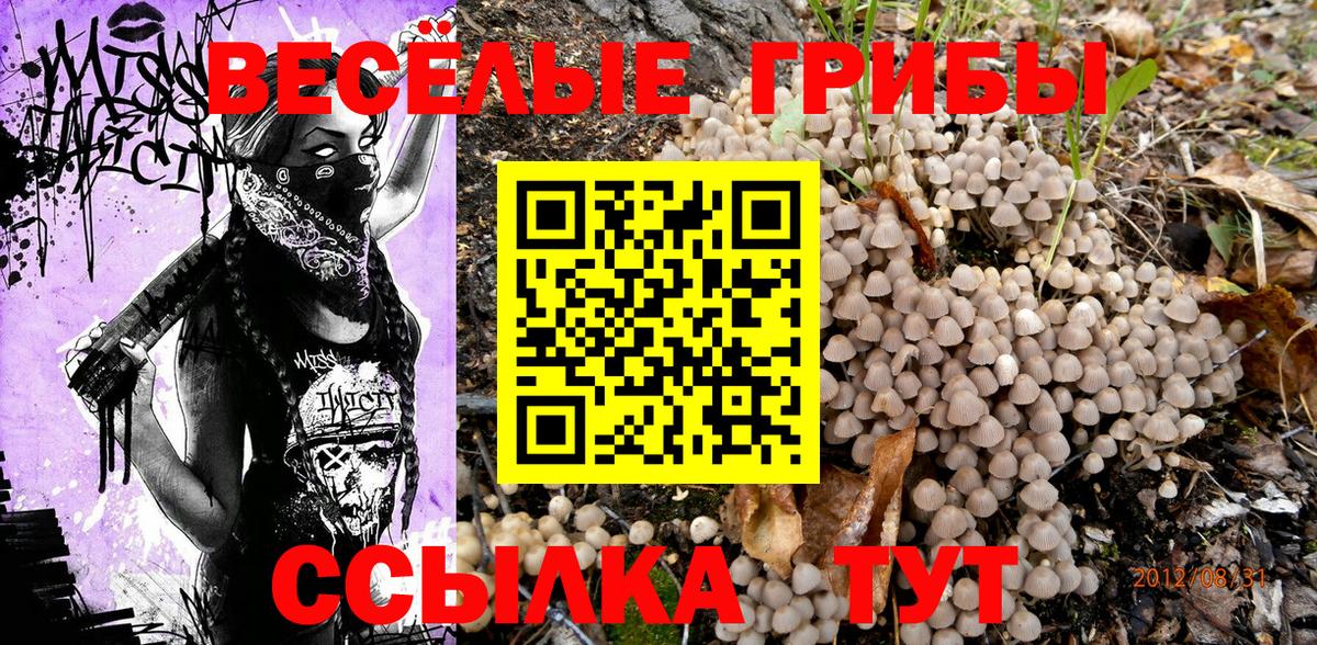 сколько стоит  Вход с VPN  Калуга  Галлюциногенные грибы Cubensis  Псилоцибиновые грибы мухоморы 