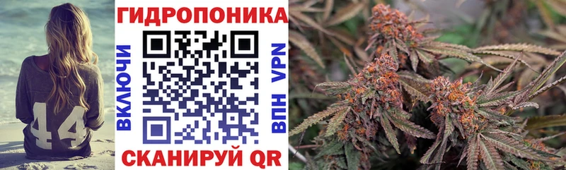МАРИХУАНА план  Калуга 
